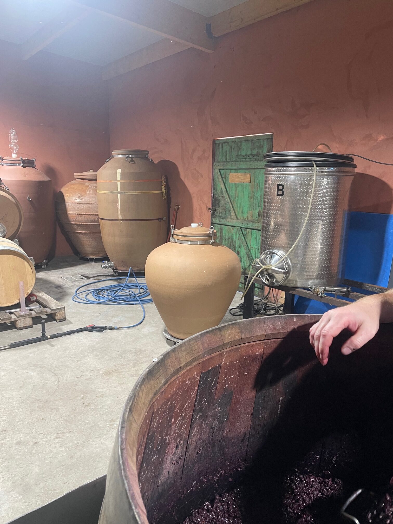 Vin Naturel Haut de Gamme 2026 – MyLevain | L'Œuvre du Vivant – Image 8