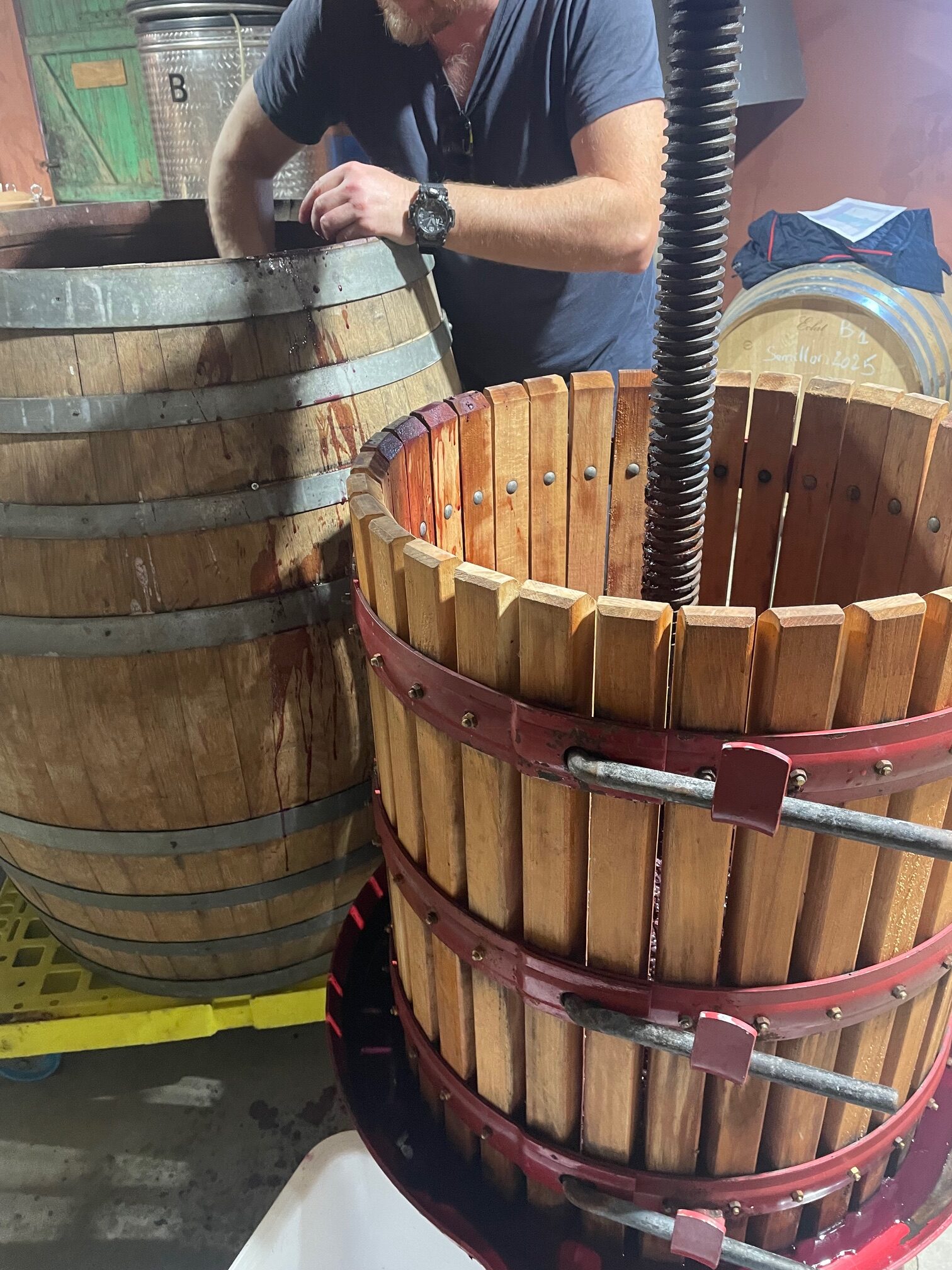 Vin Naturel Haut de Gamme 2026 – MyLevain | L'Œuvre du Vivant – Image 9