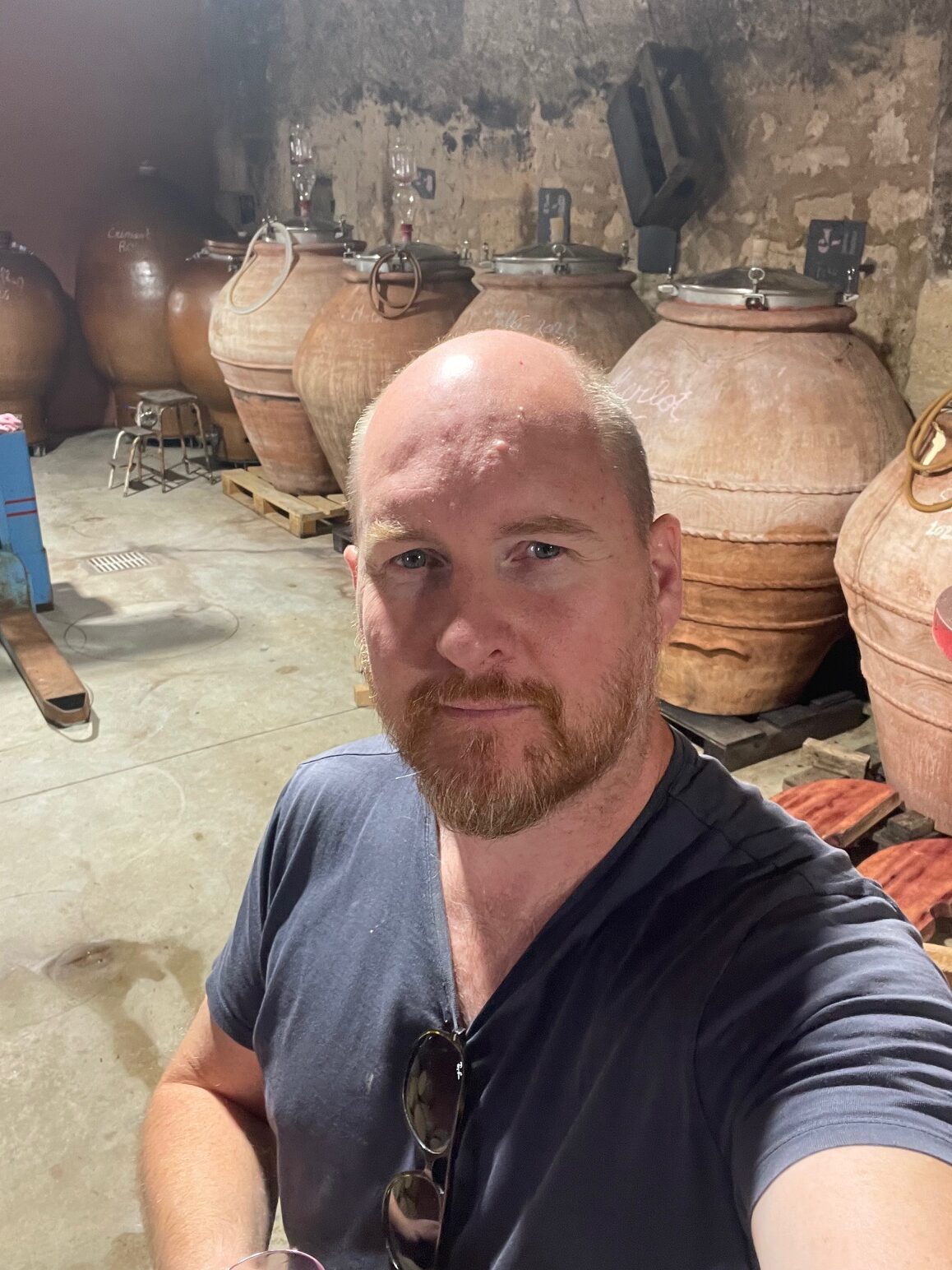 Vin Naturel Haut de Gamme 2026 – MyLevain | L'Œuvre du Vivant – Image 7