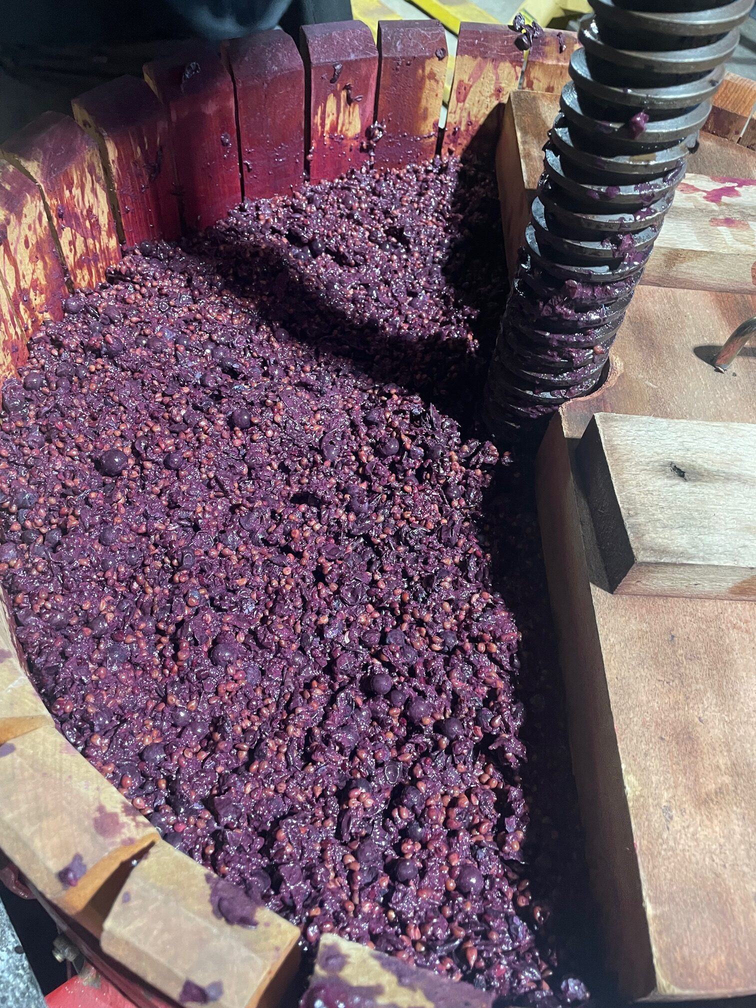 Vin Naturel Haut de Gamme 2026 – MyLevain | L'Œuvre du Vivant – Image 10
