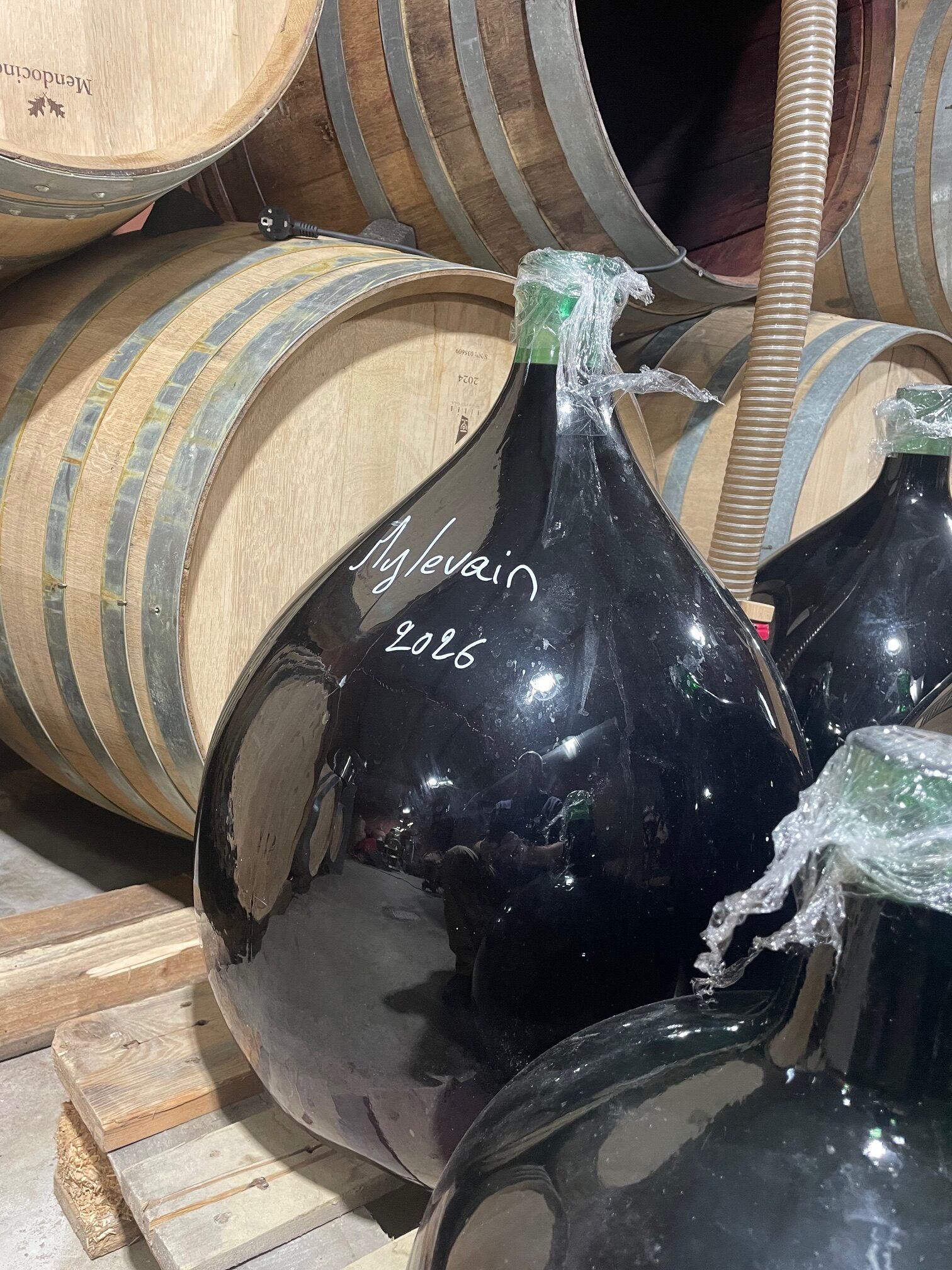 Vin Naturel Haut de Gamme 2026 – MyLevain | L'Œuvre du Vivant – Image 11