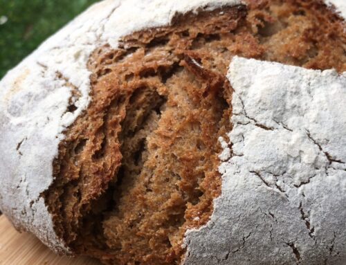 Recette Pain au levain naturel – Farine Seigle Bio T85