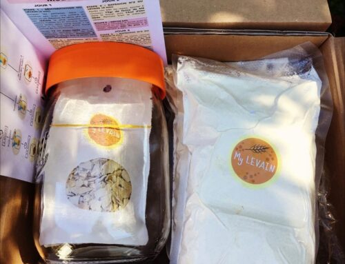 Idée Cadeau Noël : la box MyLevain, “Kit Levain & Farine”, une box ludique pour faire du pain naturel comme autrefois.