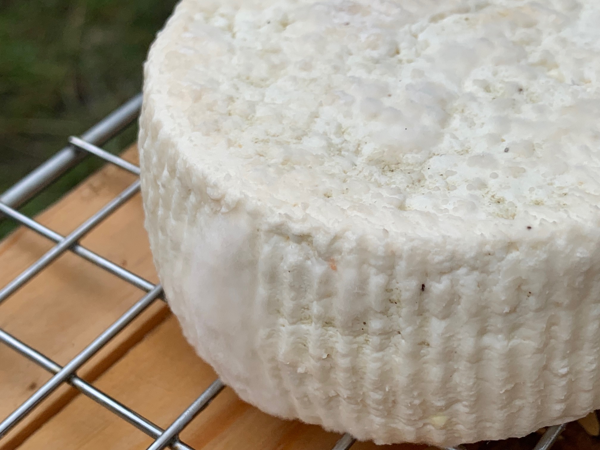 Fromage au levain biologique : Faire son fromage bio DIY au levain, sans  présure