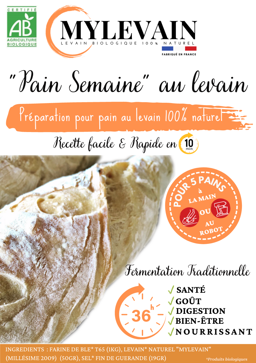 Fromage au levain biologique : Faire son fromage bio DIY au levain, sans  présure