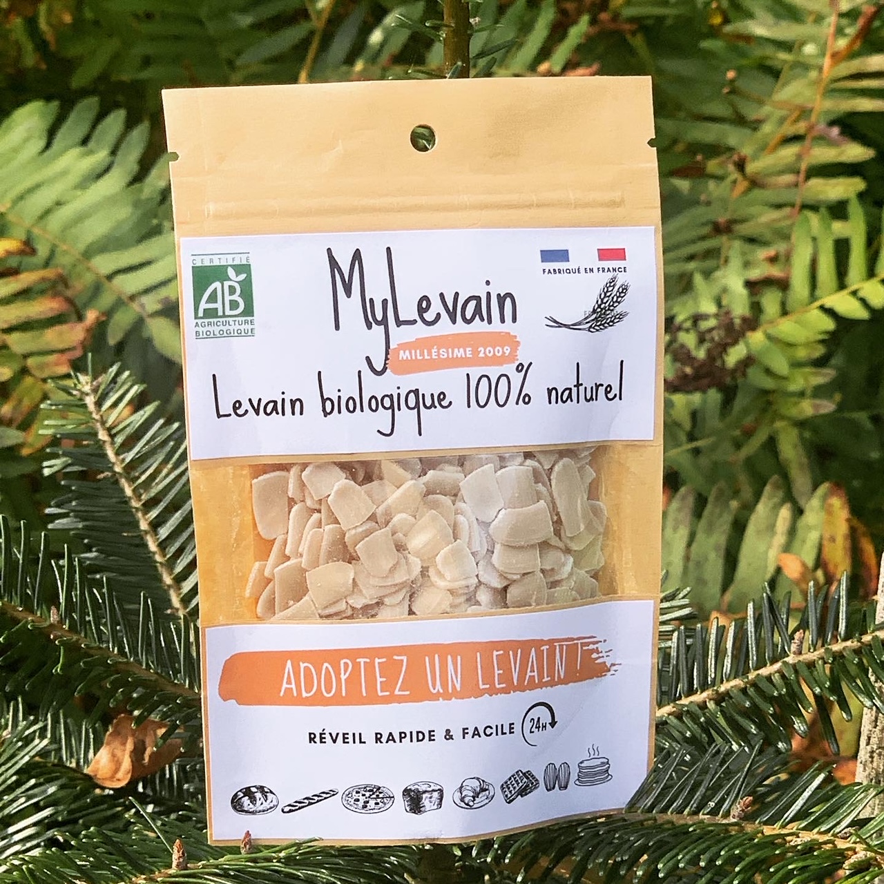 Paillettes de levain bio 100% naturel - Levain de garde, Millésime 2009 -  50gr (400ML) pour Pain, Brioches, Pizza..