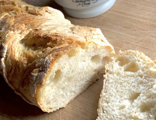 Quel avenir pour la baguette (et le vin) ? le futur du pain et du vin, fermentation, levain, et jeunes générations à l’horizon 2050