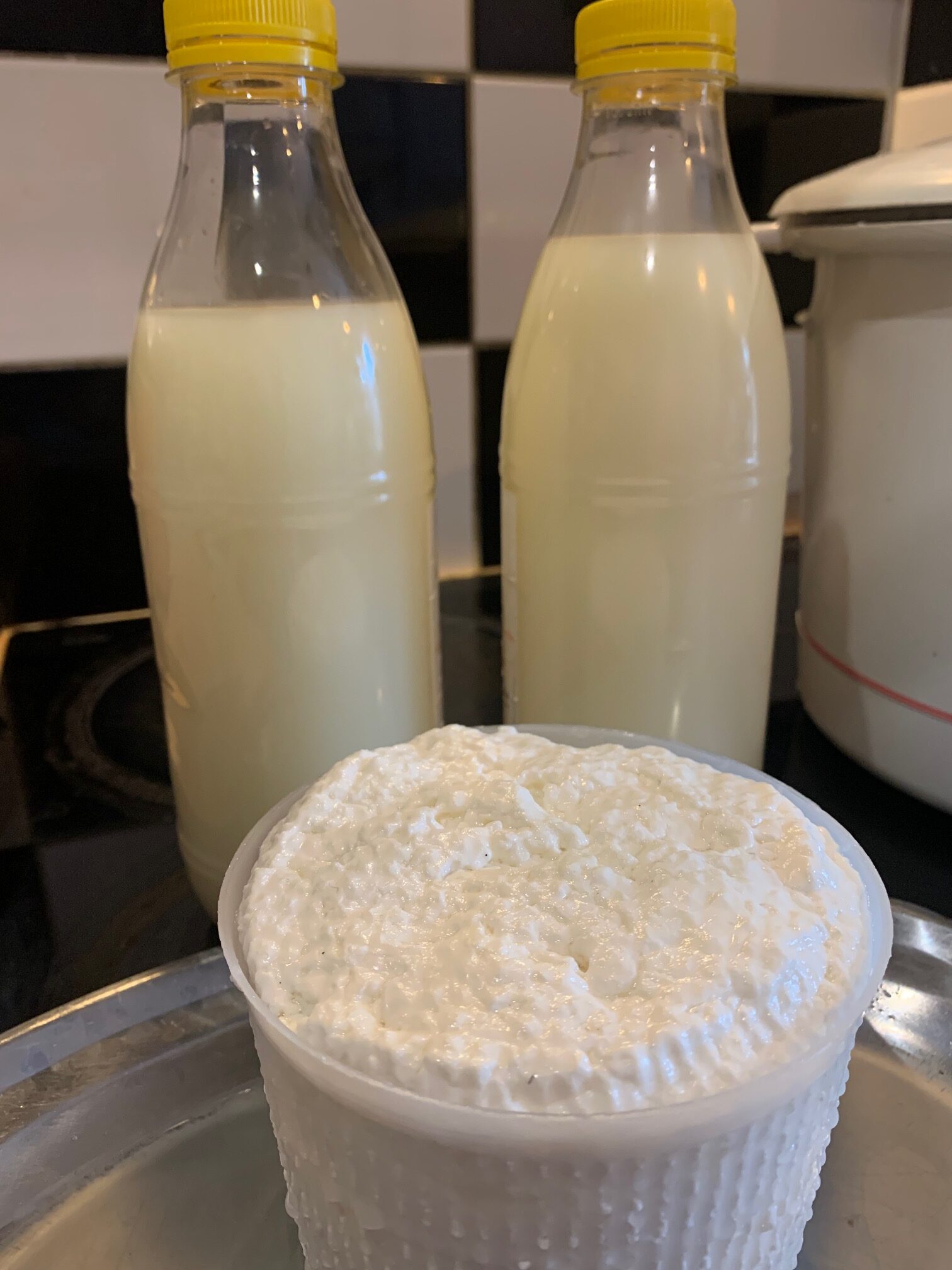 Fromage au levain biologique : Faire son fromage bio DIY au levain, sans  présure