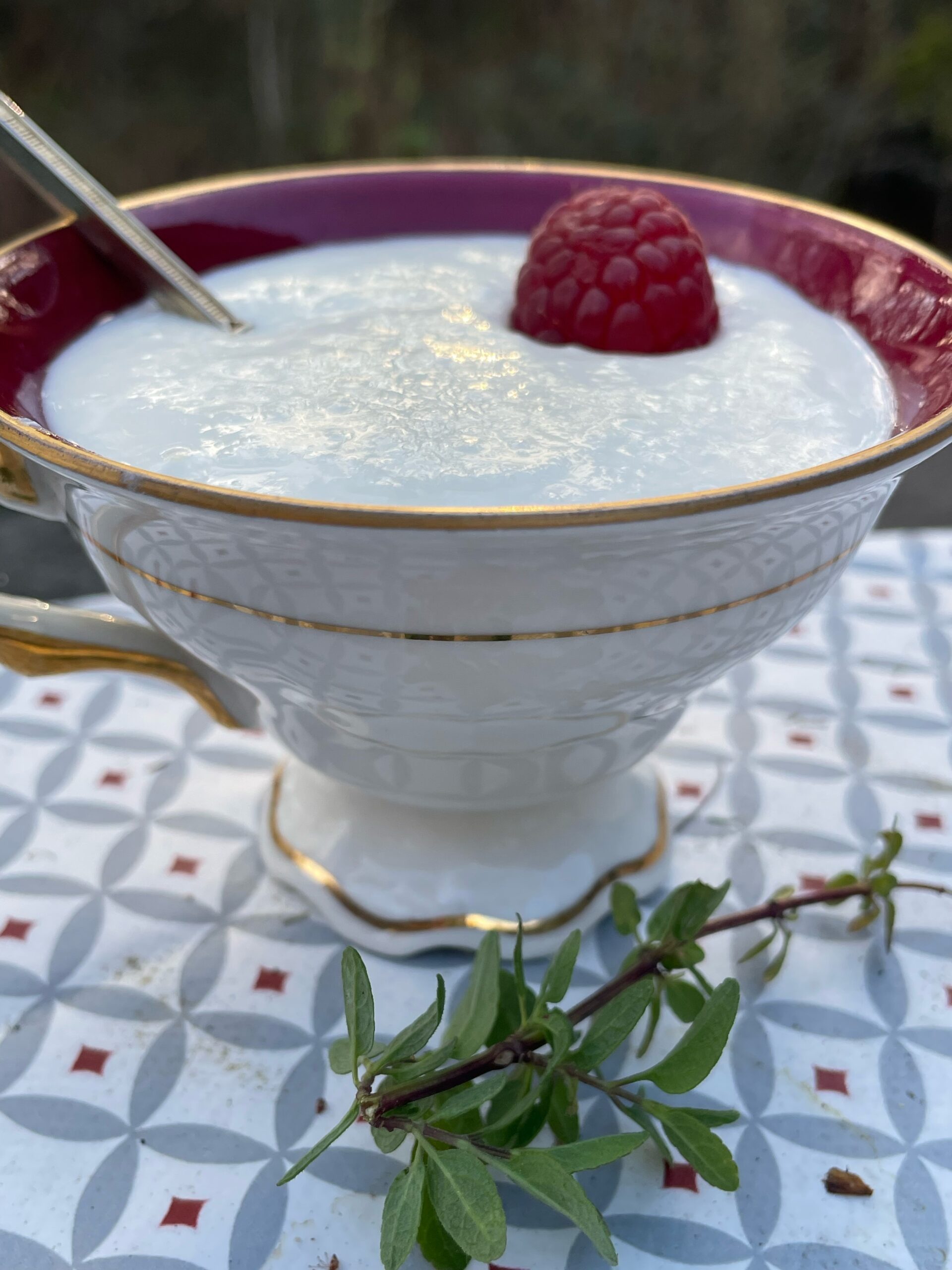 Fromage blanc au Lait Frais Entier Pasteurisé & Levain naturel (sans présure)  - My Levain, Vente de Levain Bio 100% Naturel