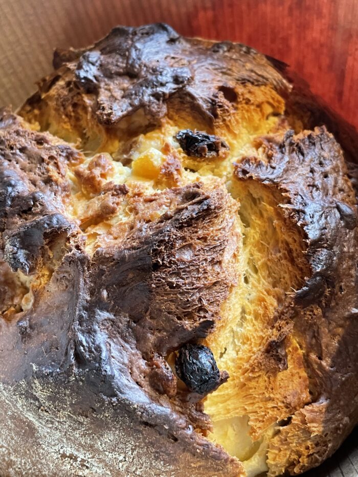 La Réserve de Levain MyLevain® - Millésime 2009 - 250 ou 500gr – Image 8