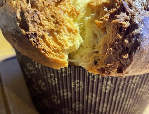 Panettone italien au levain : comment créer son Lievito Madre avec MyLevain et le conserver ?