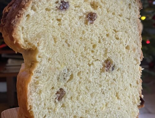 Panettone au levain naturel : la recette traditionnelle du Panettone Italien