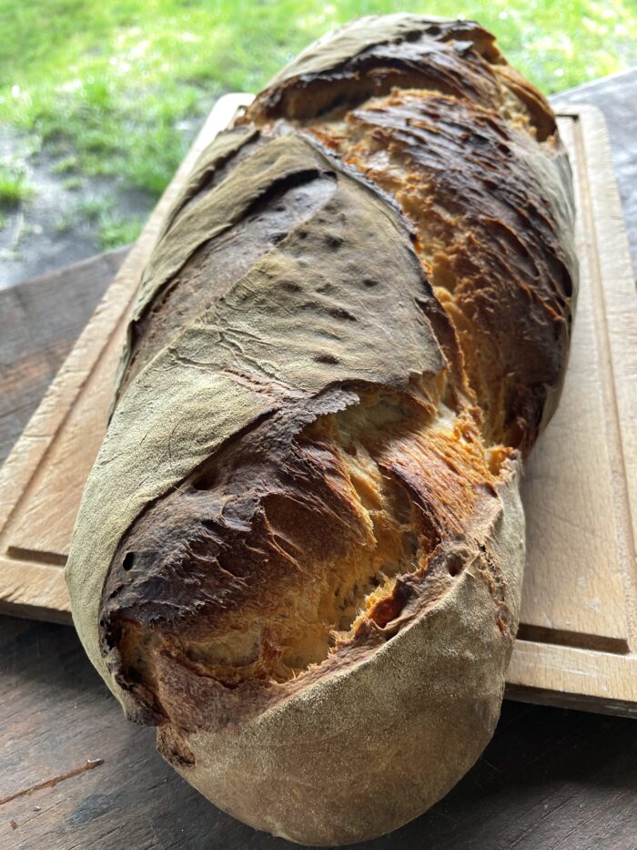 La Réserve de Levain MyLevain® - Millésime 2009 - 250 ou 500gr – Image 7