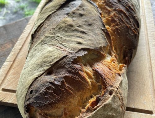 Connaissez vous le lien entre le pain au levain, la lunasine, et l’épigénétique fonctionnelle ?