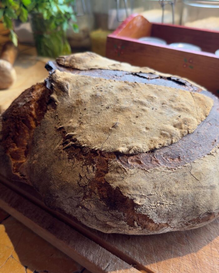 La Réserve de Levain MyLevain® - Millésime 2009 - 250 ou 500gr – Image 3
