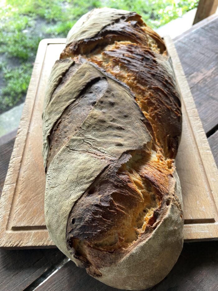 La Réserve de Levain MyLevain® - Millésime 2009 - 250 ou 500gr – Image 4