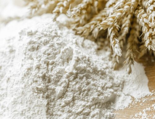 Levain et santé : comment la fermentation réduit la toxicité des métaux lourds dans le pain