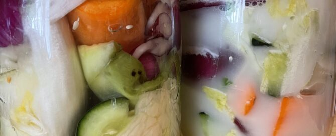 legume lacto fermenté au levain