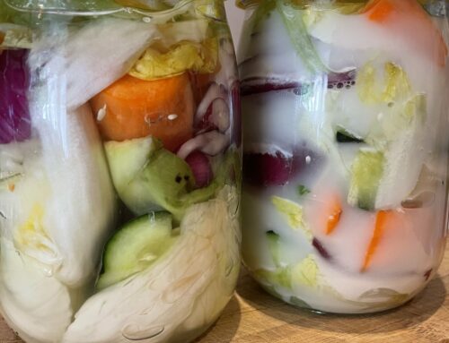Révolutionnez vos légumes fermentés : Pourquoi adopter la lacto-fermentation au levain panaire ?