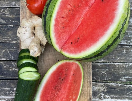 Canicule : microbiote, hydratation et alimentation fermentée pour mieux supporter la chaleur