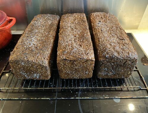 Bêta-Glucanes et Détox des PFAS : Comment le Pain Viking by MyLevain peut révolutionner votre santé :