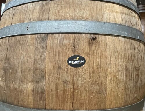  Pain, Vin, Fromage : l’union sacrée retrouvée grâce au levain