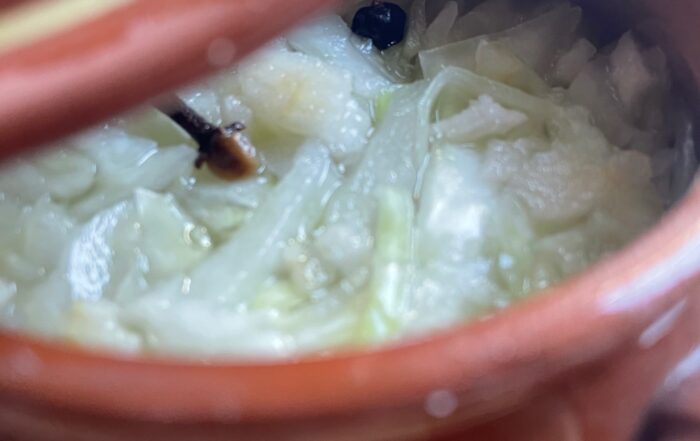 Choucroute fermentée au levain MyLevain