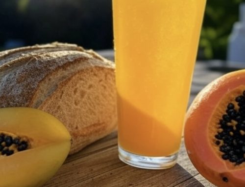 Les boissons fermentées de l&rsquo;été : se rafraîchir tout en nourrissant son microbiote